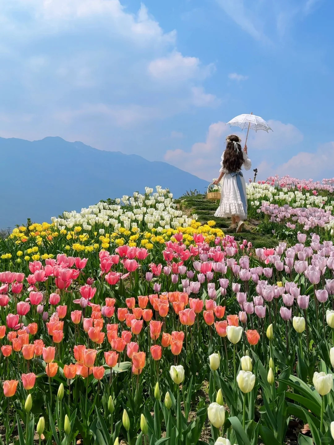 这辈子都舍不得删的live图🌿