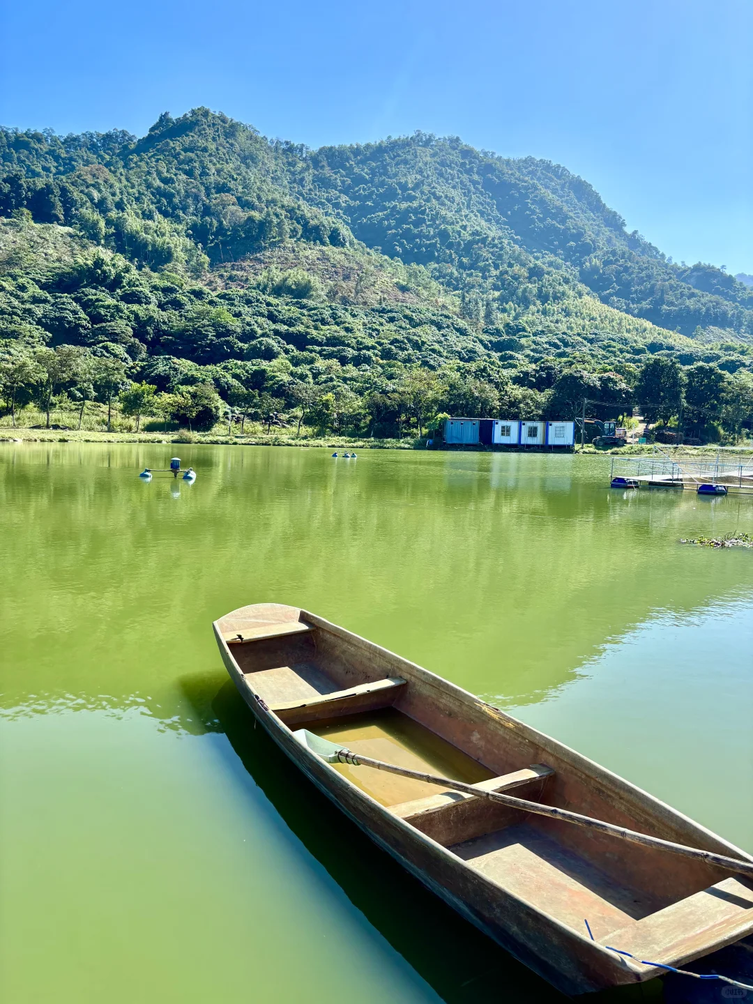 自由的风🏞️🌳🍃