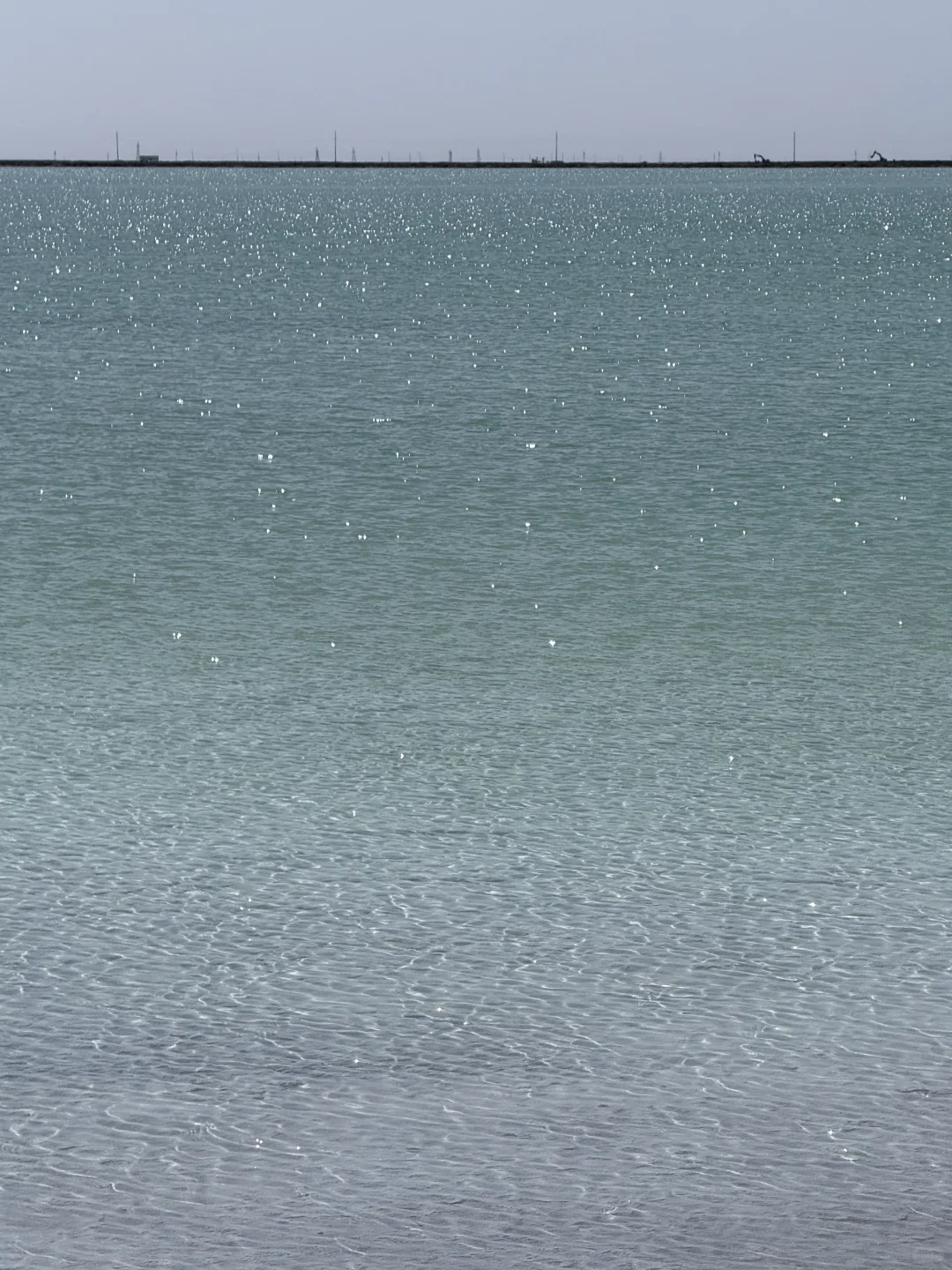 察尔汗盐湖 请你喝 冰萃青提 🧊