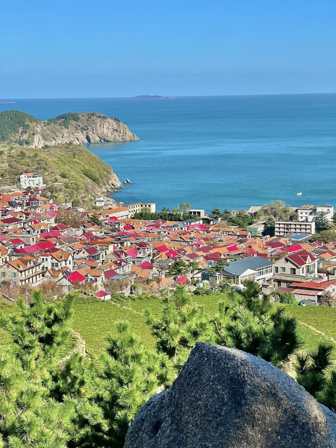 人生建议:去青岛一定要坐次1元环海公交……