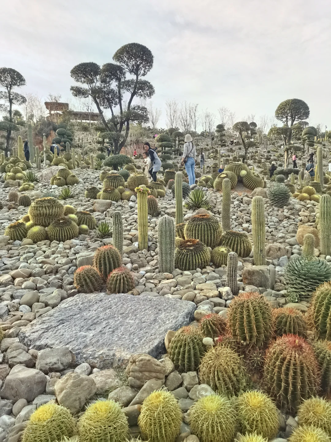 弥勒，云南亲子游宝藏地