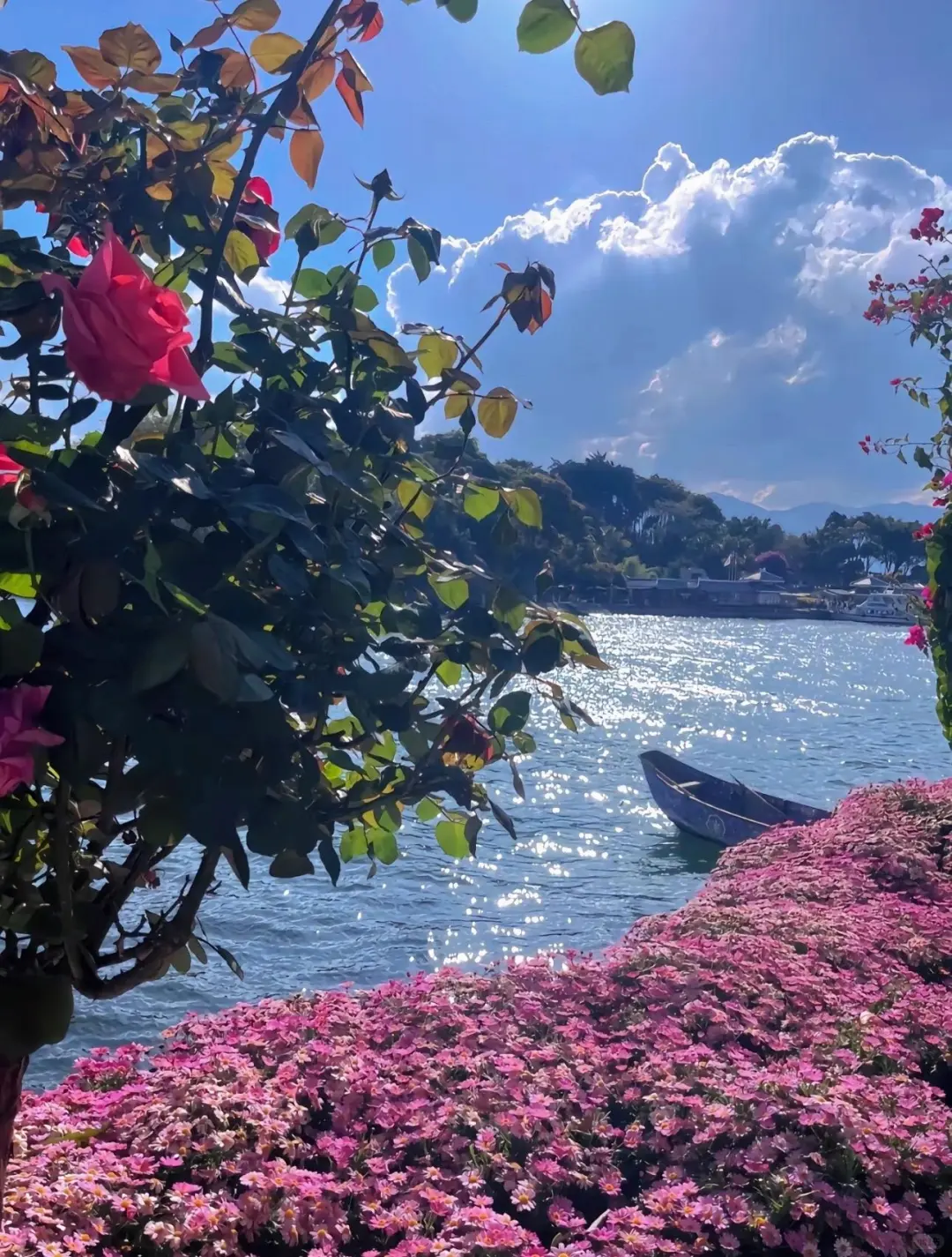 5.20🎈云南已回 暑假路线大公开❗gogogo