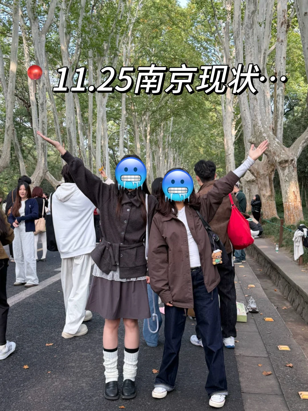 11.25南京现状！冷到崩溃🥶打算来的速看