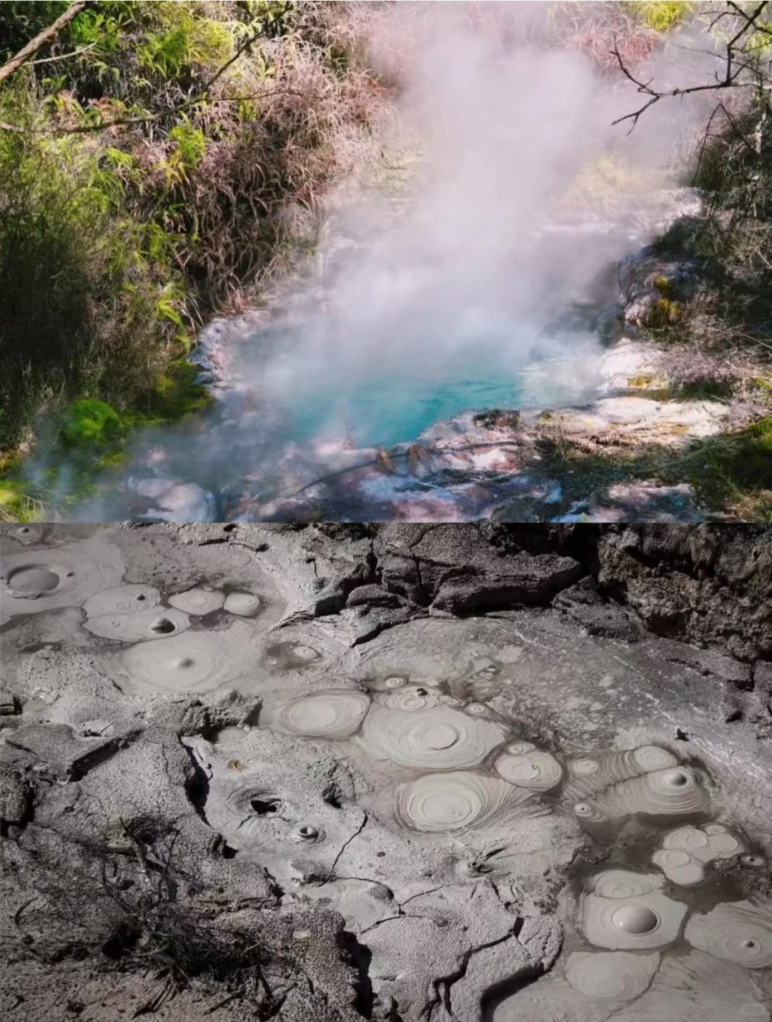 新西兰绝密仙境|乘船才能进的地热山谷🌋