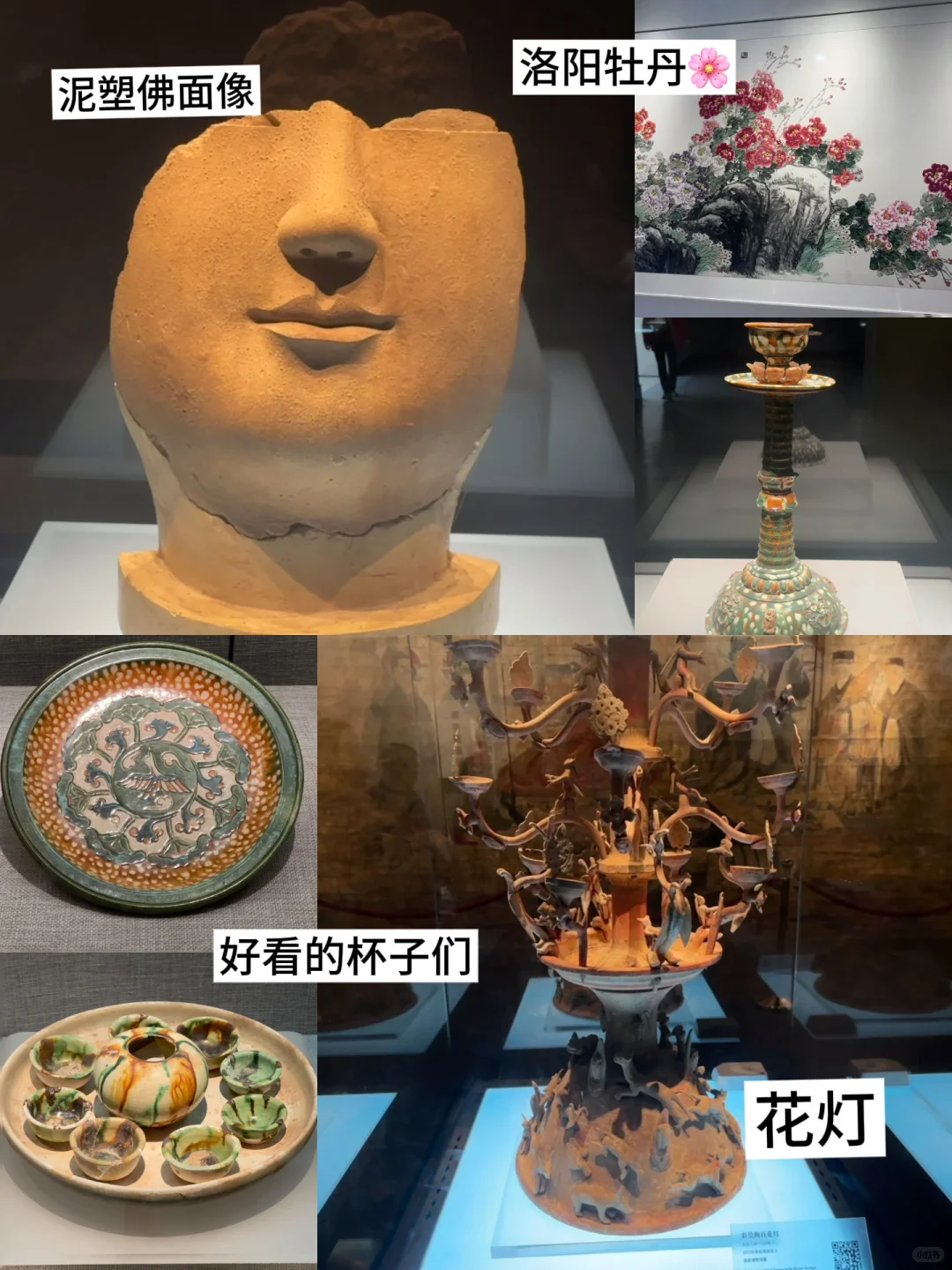 宁波→洛阳4天3夜，盛唐美学拉满✨