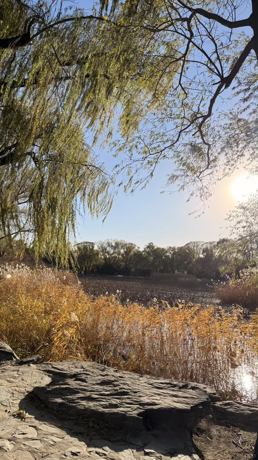 11.16的颐和园！美绝了