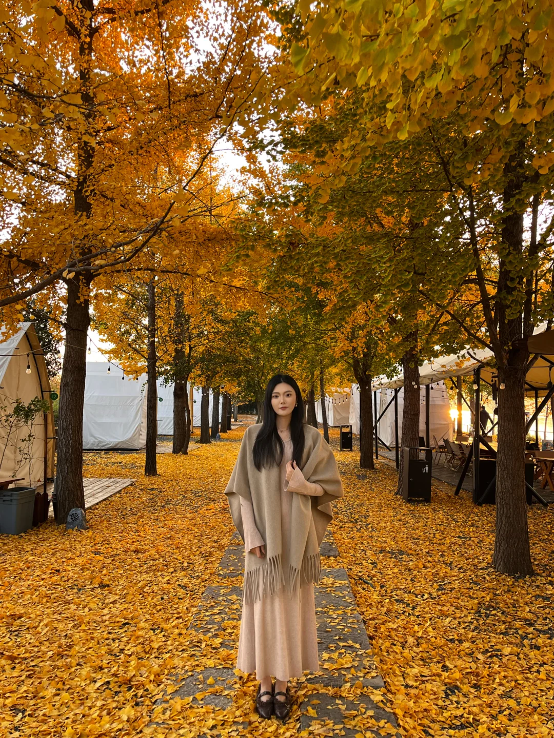 11.12实况|临沂的秋天已经美到next level了