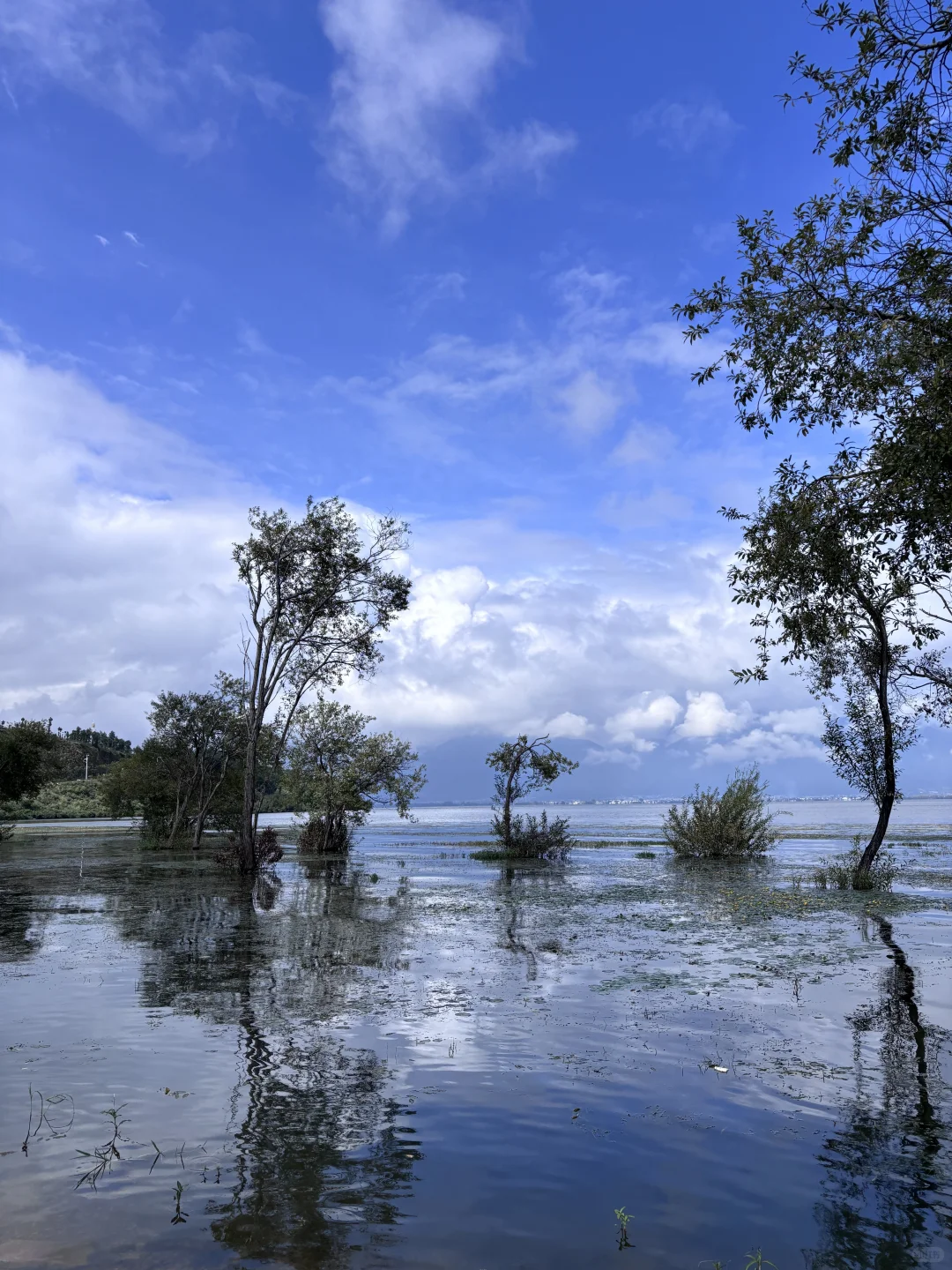 云南之大理篇~去有风的地方