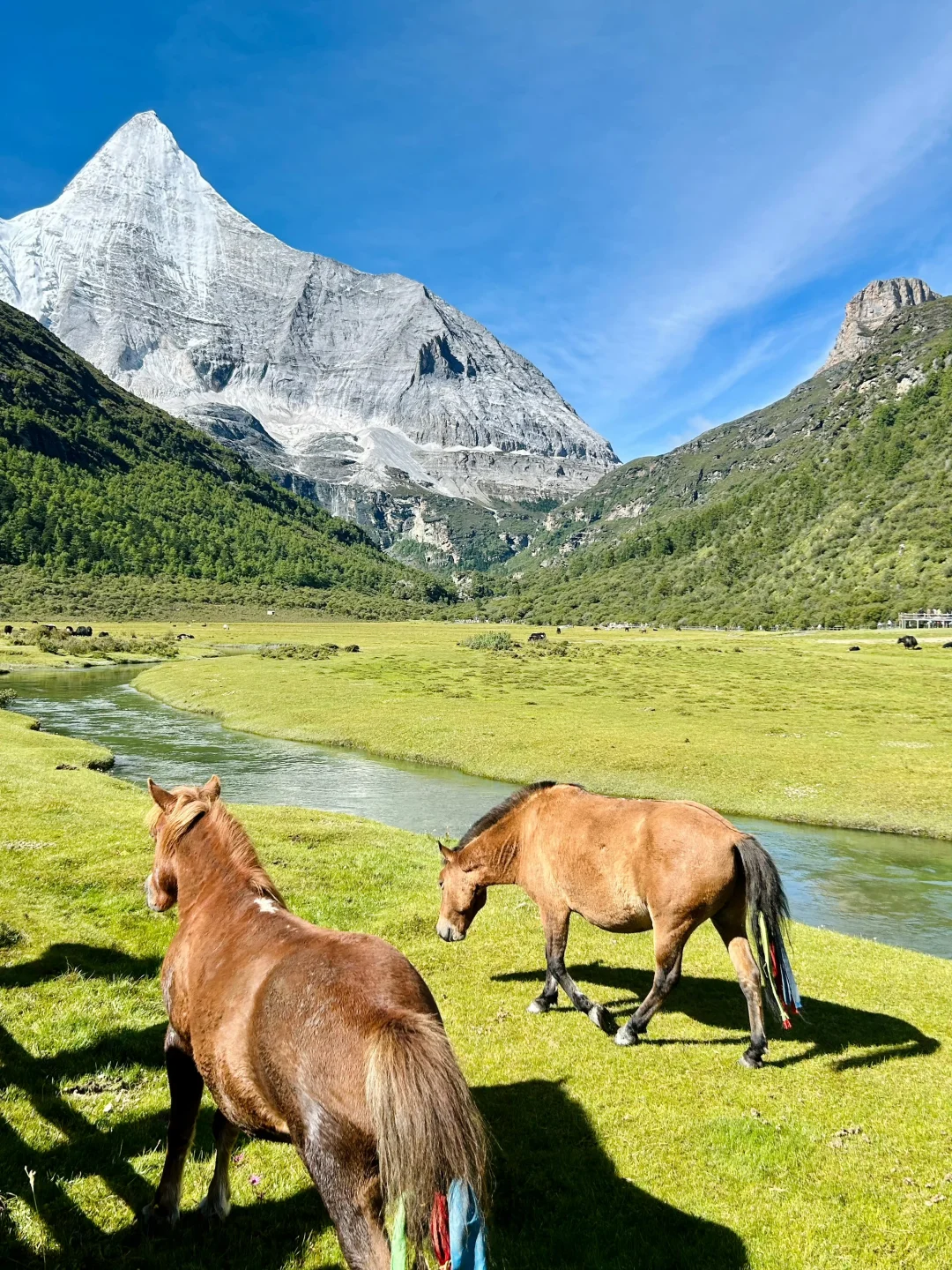 川西在我这里一直是top1的级别