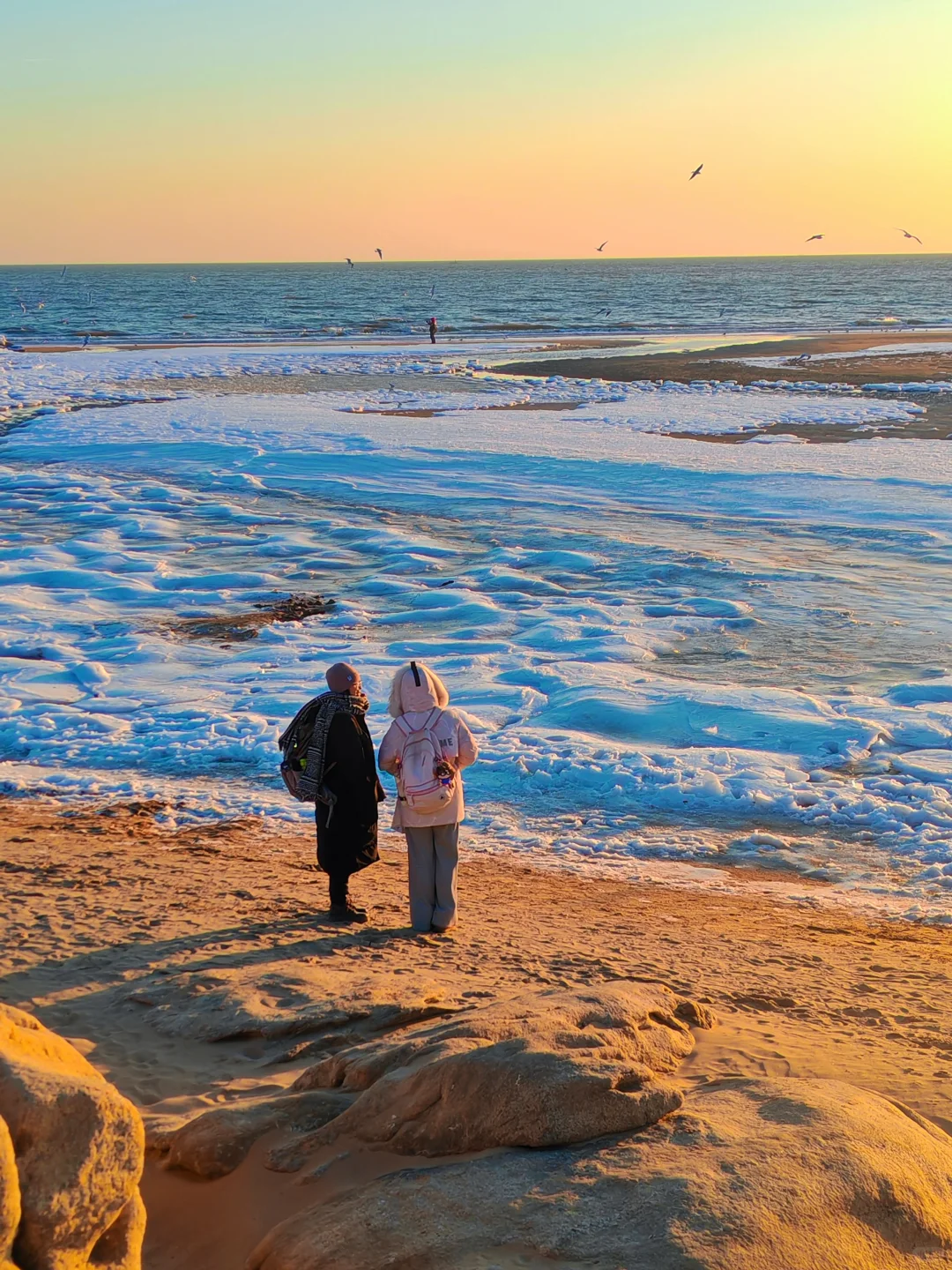 下个月一起去秦皇岛看冰河世纪‼️
