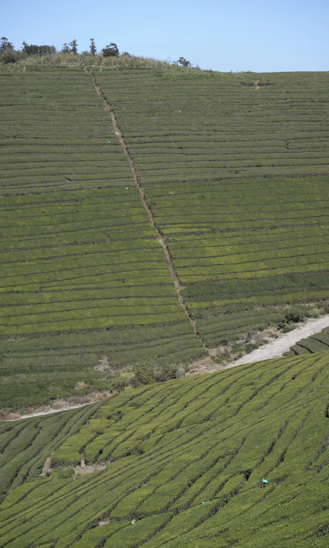 东钱湖福泉山大环线 去晚了