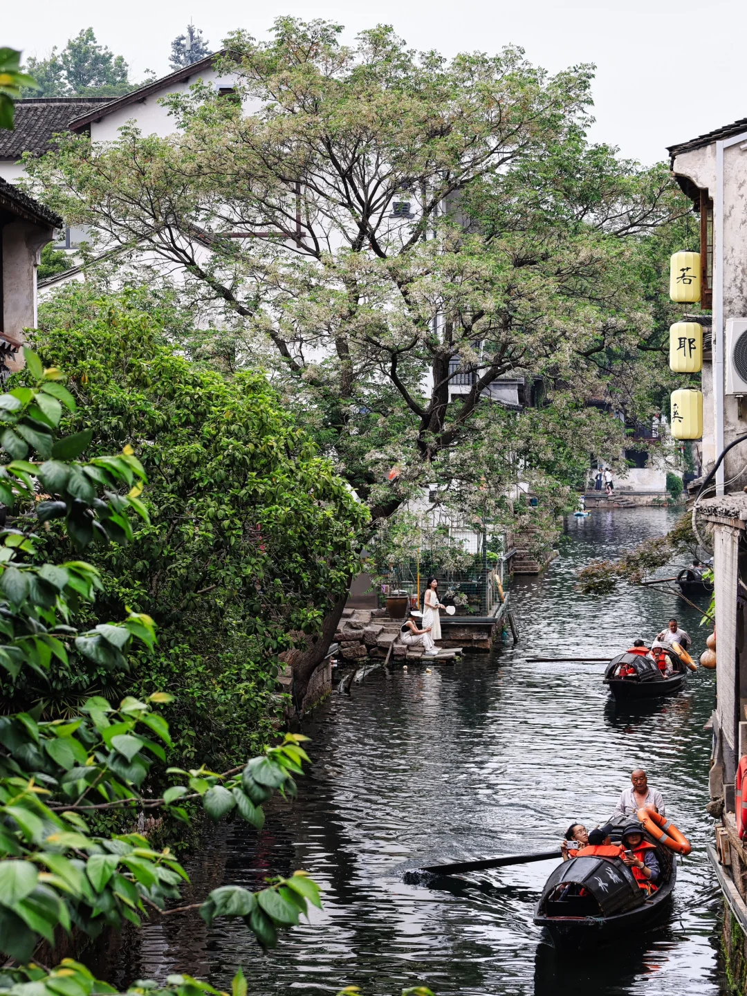 📍绍兴“读先生的书，看先生的故里”