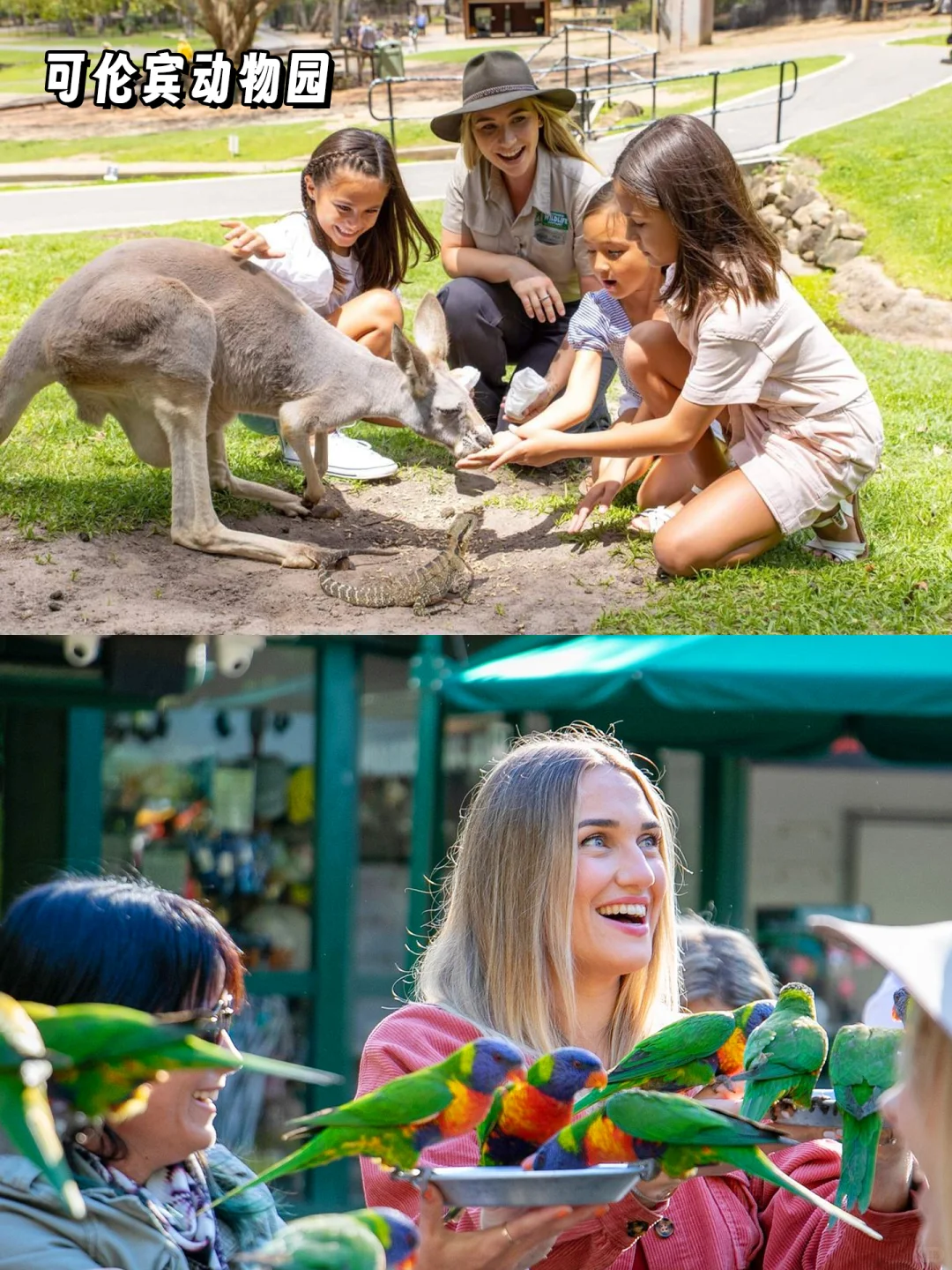 黄金海岸必玩！治愈系旅行清单快收好✨