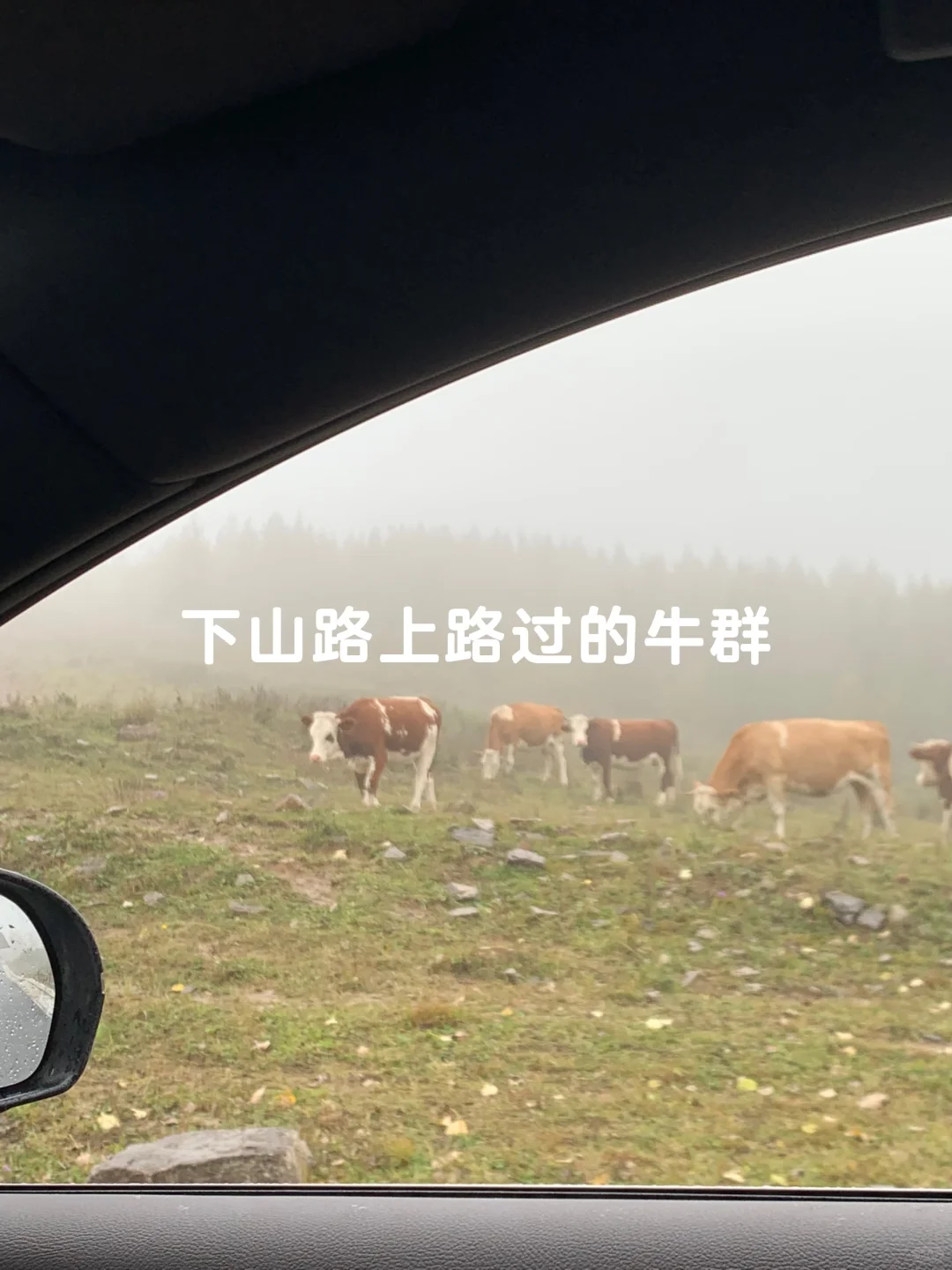 避开人潮！山西 “小阿勒泰” 人少景美🌲