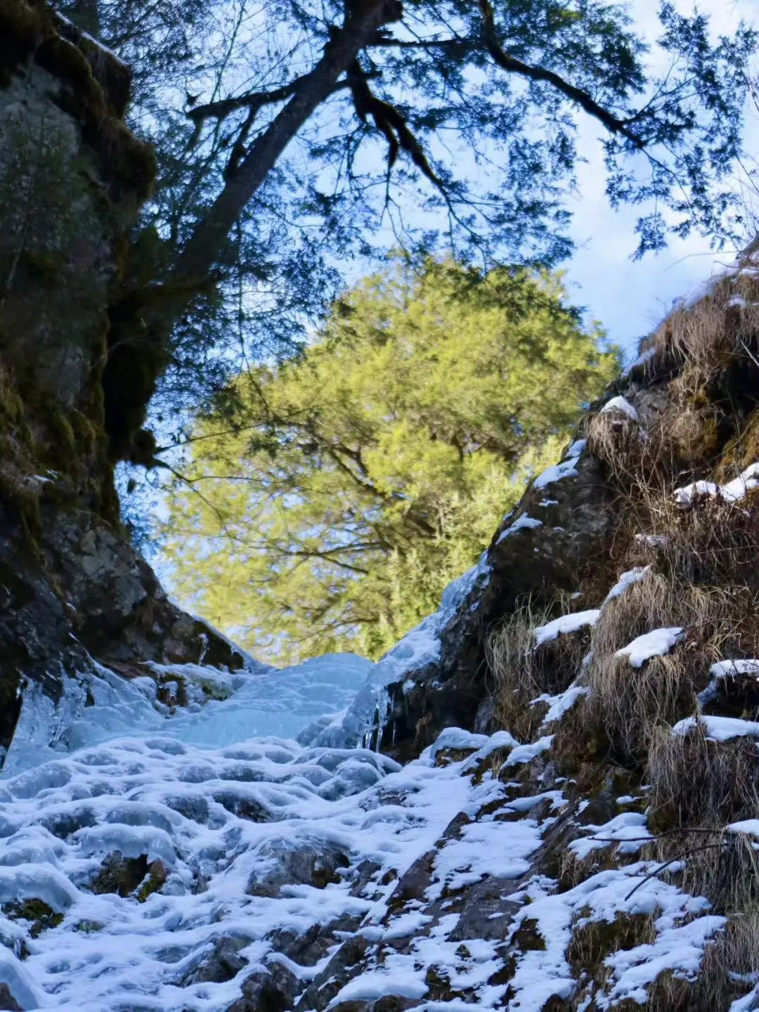 冬天不爬雪山就来攀冰！1天就够，新手狂喜