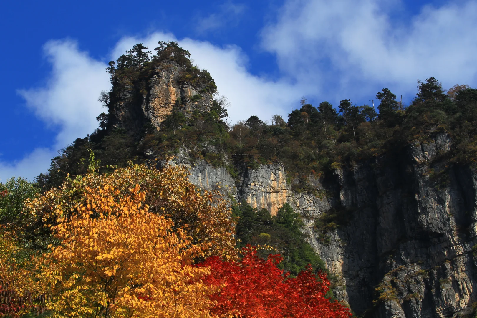 天燕景区丨闯入2400米高空冰雪秘境野人传说