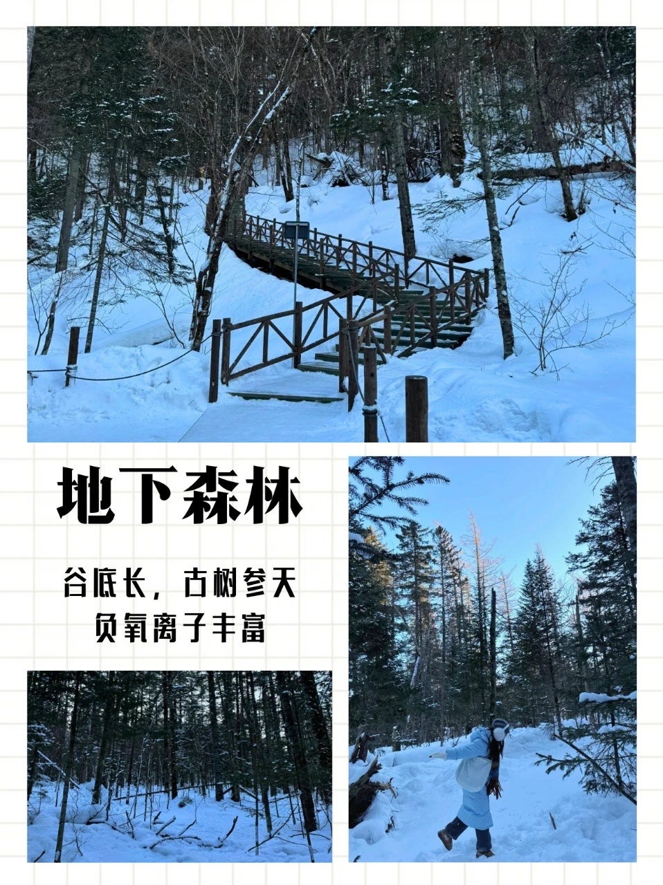 05女大的长春计划📍5天不绕路旅游攻略