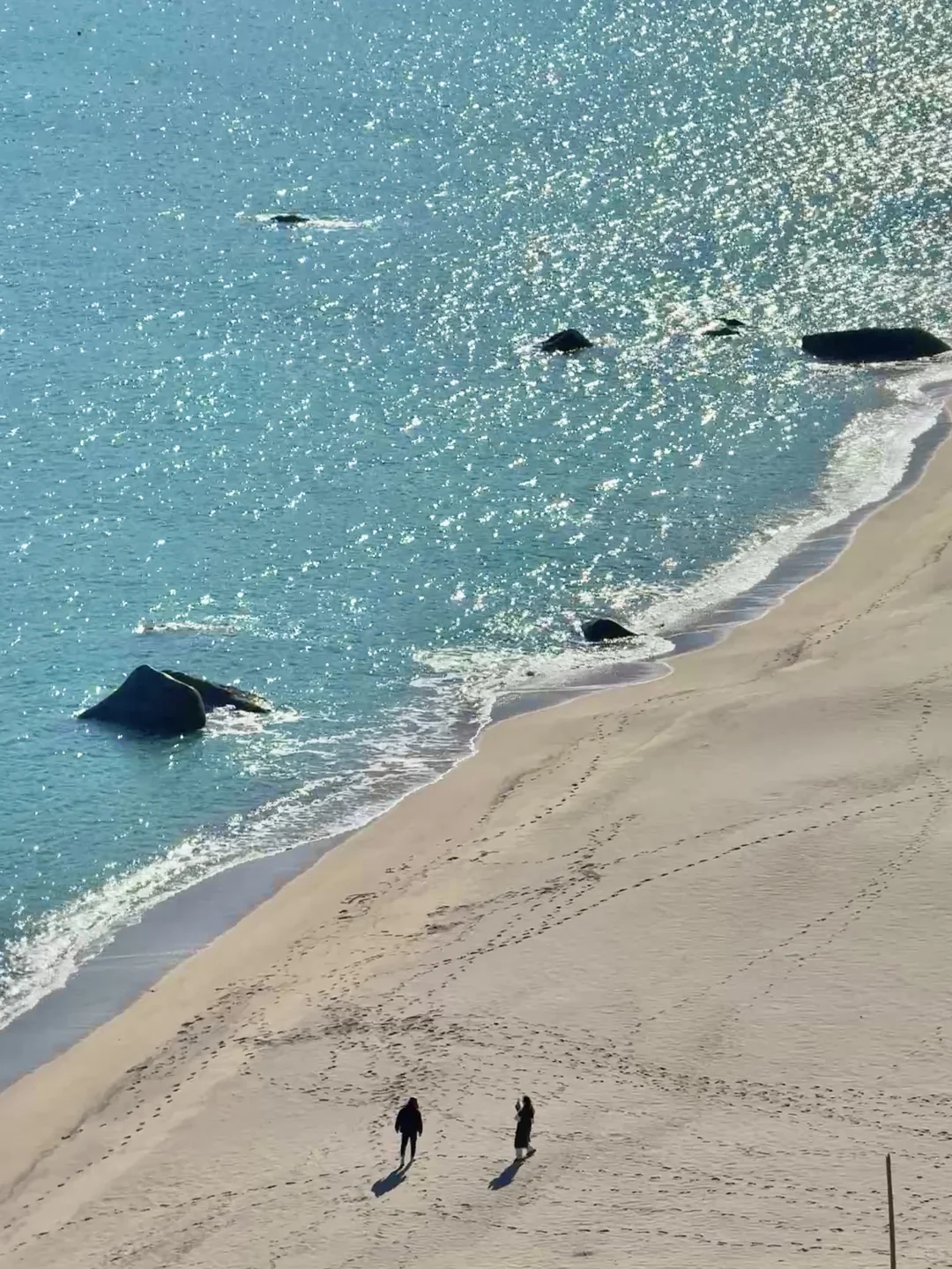 人生建议:去青岛一定要坐次1元环海公交……