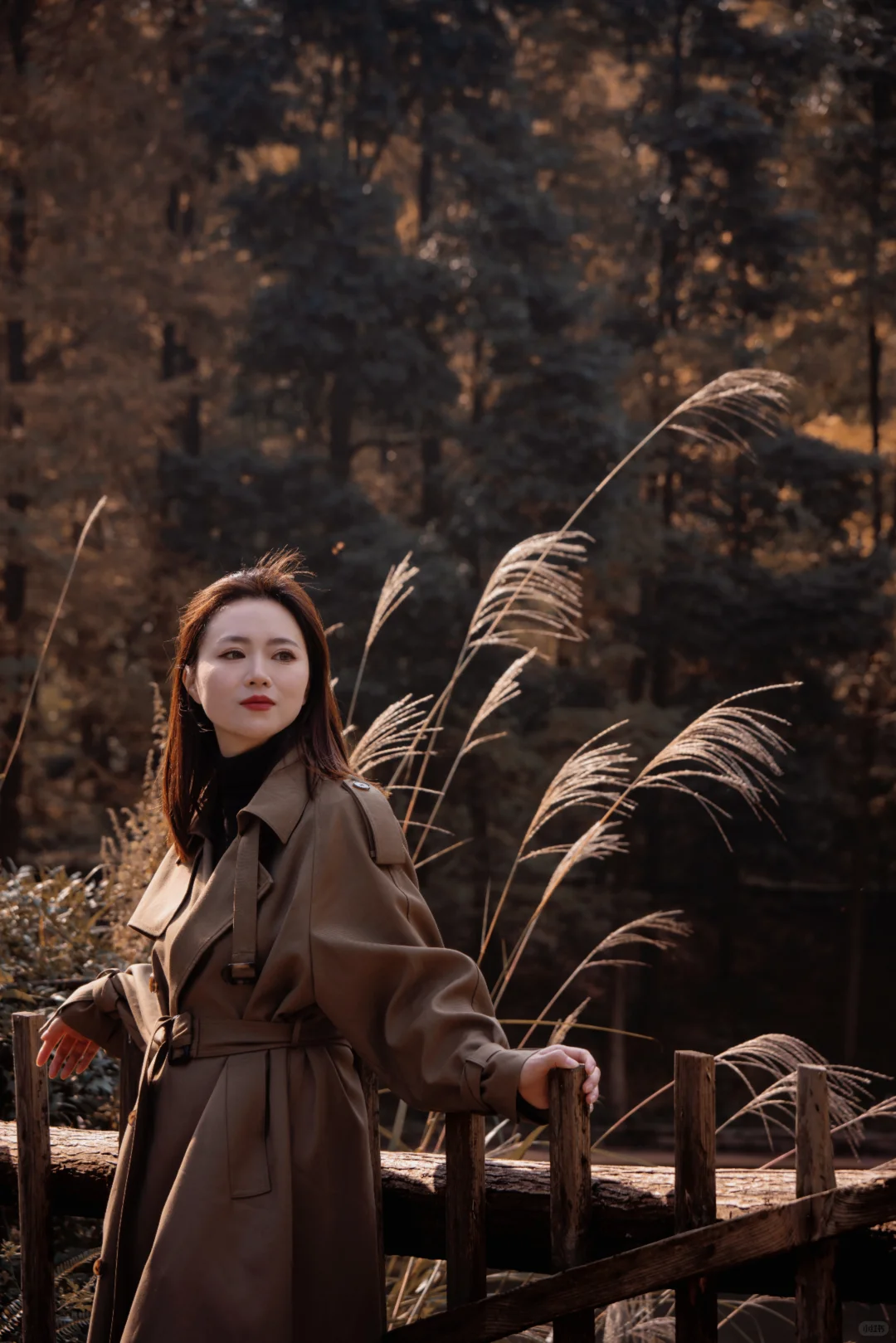 🍂北碚这条免费小众路线藏了整个秋天！