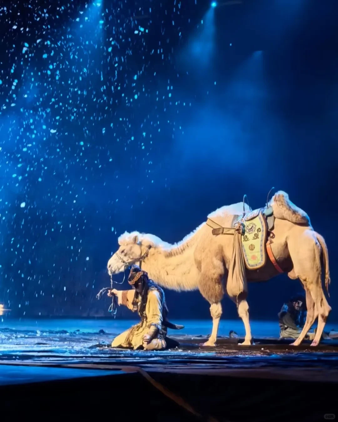 西安千古情门票+攻略：99元一票通玩哦～～