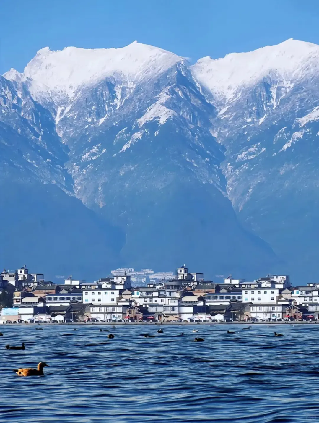 5.20🎈云南已回 暑假路线大公开❗gogogo