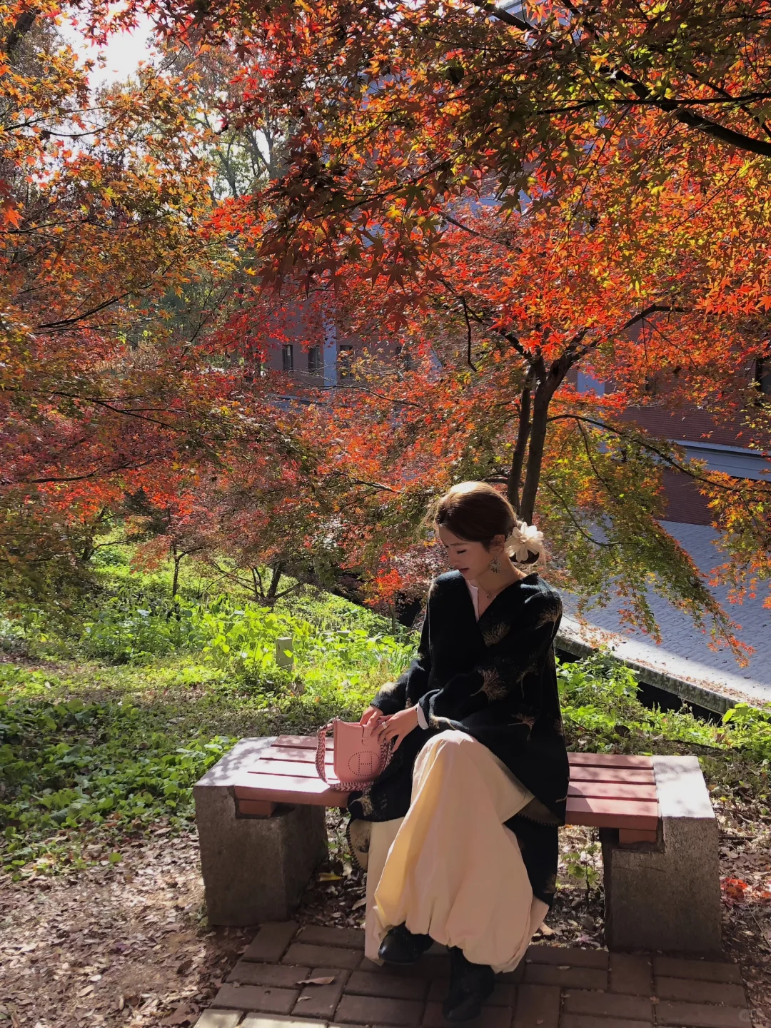 11.28实况！不在京都 在南京🍁枫叶美哭了🥹