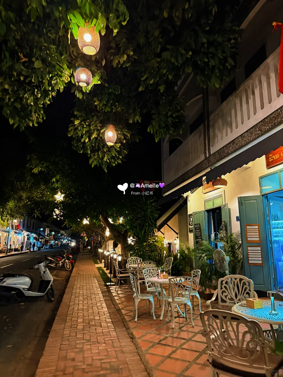 我的旅行搭子🥳