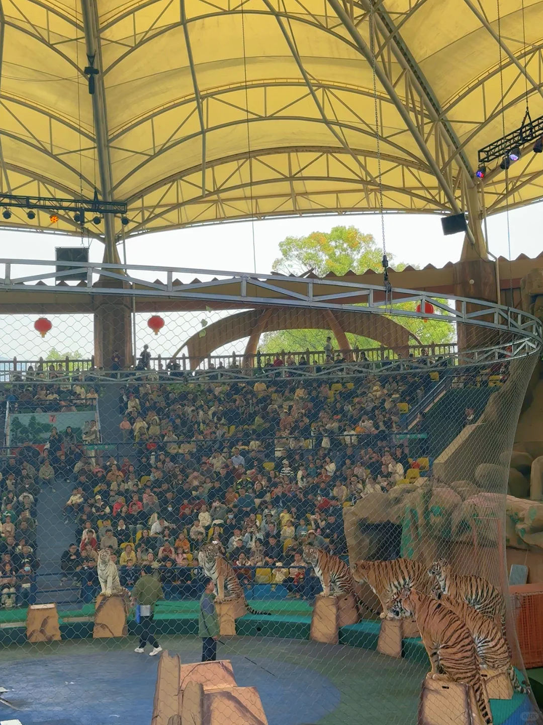 太湖龙之梦带娃瞎玩攻略!