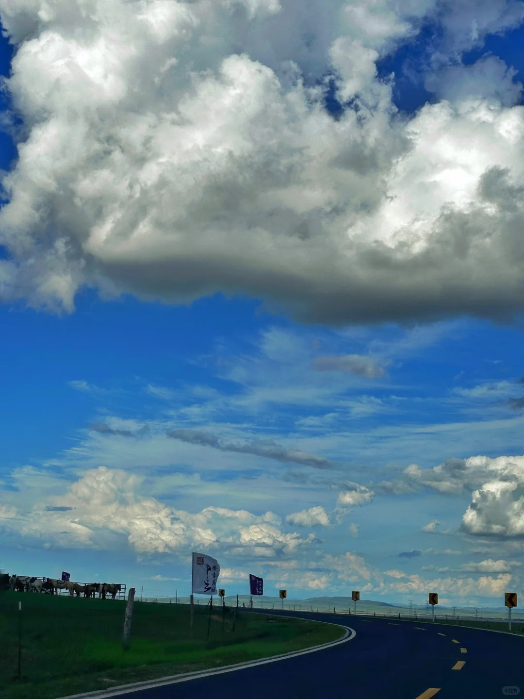 一直开到云开见草原☁️