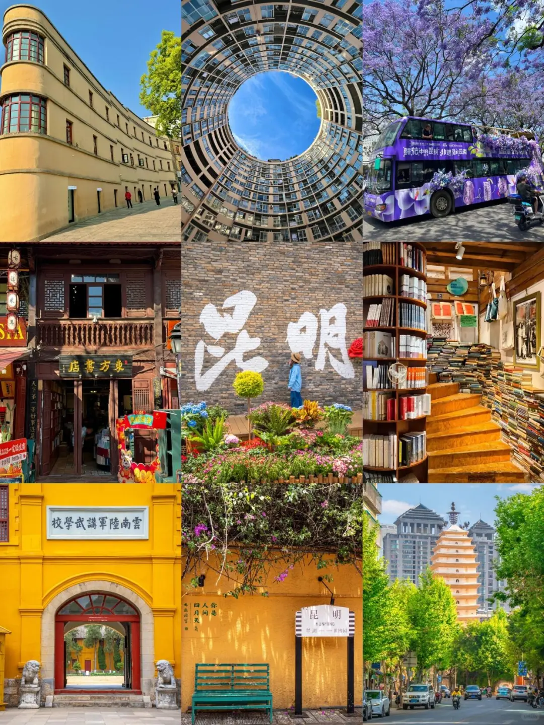 寒假春节去云南旅游📍怎么玩❗看完全搞懂