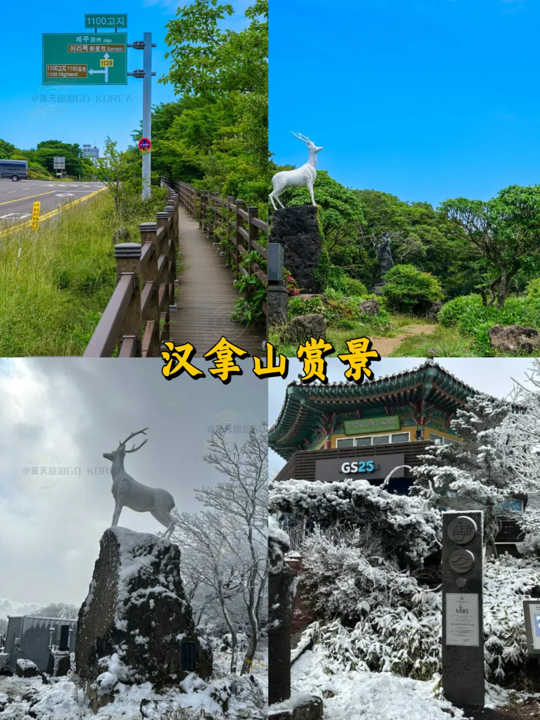 懒人必看❗️纯干货不绕路✅济州岛攻略