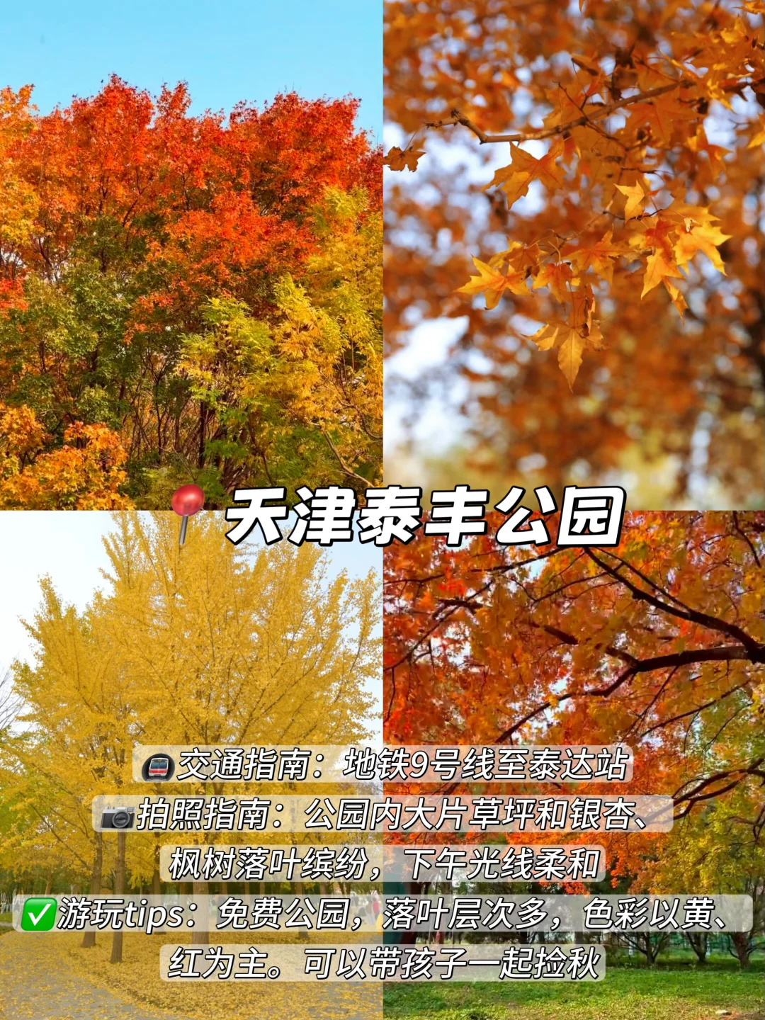 3年总结!天津秋天一定要去的9️⃣个地方!