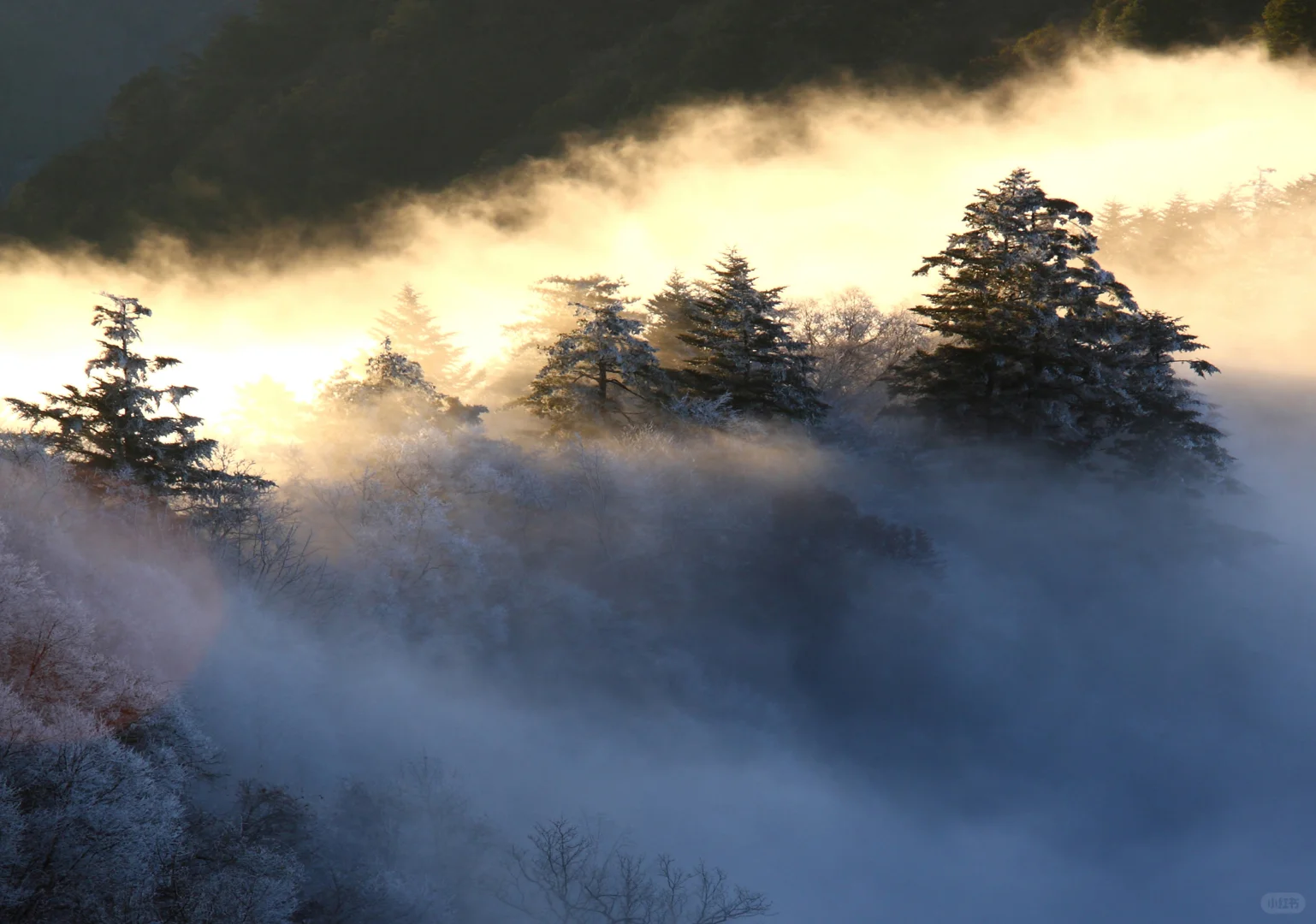 天燕景区丨闯入2400米高空冰雪秘境野人传说