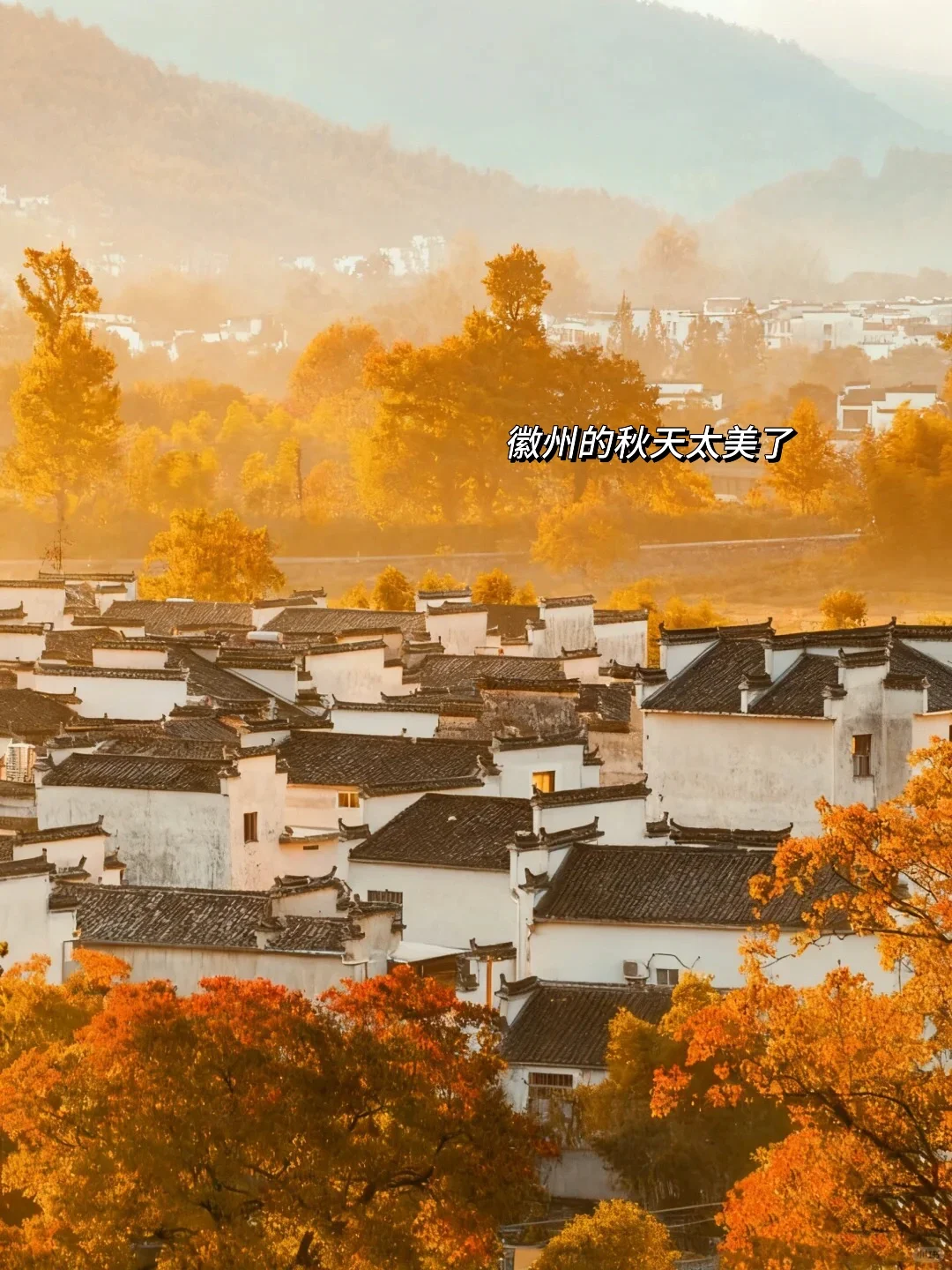 《国家地理》没骗人😭11~12月去徽州赏秋绝了