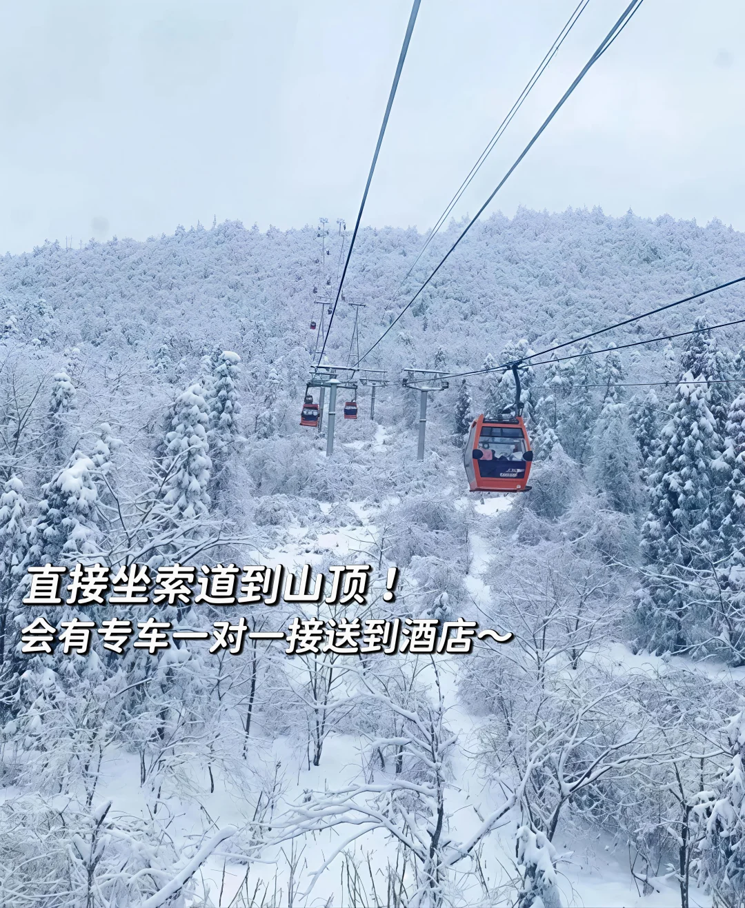 来成都住我家吧!128俩人😭雪景小木屋