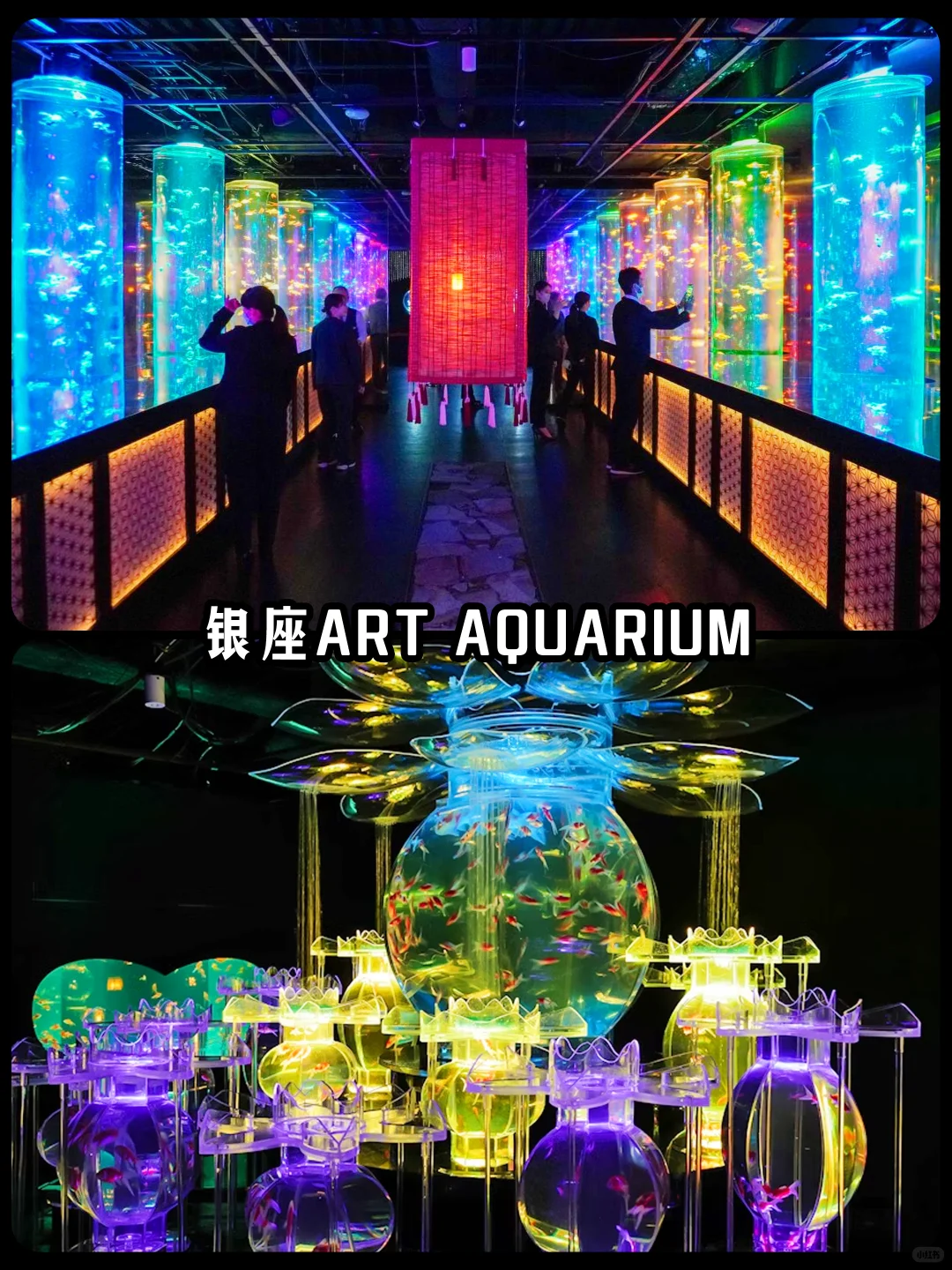 🌟【东京下雨天也不怕！10大室内景点必收藏