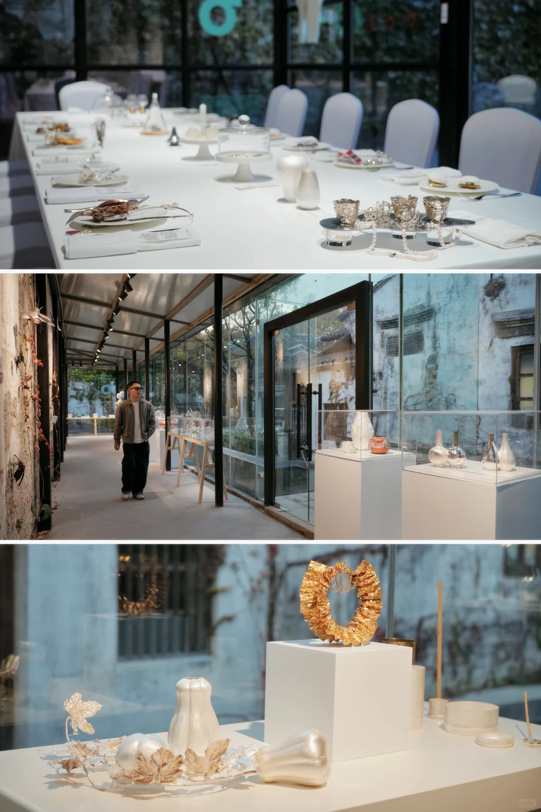 为了这棵1000年银杏，我特意去了趟浙江🍂