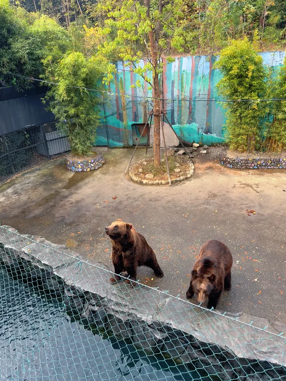 太湖龙之梦带娃瞎玩攻略!