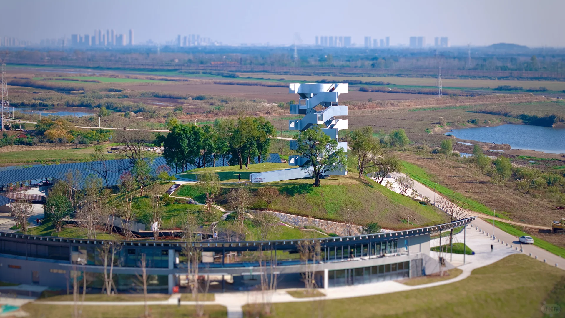 在武汉蔡甸找到了鹿客岛的平替,乌桕树已红