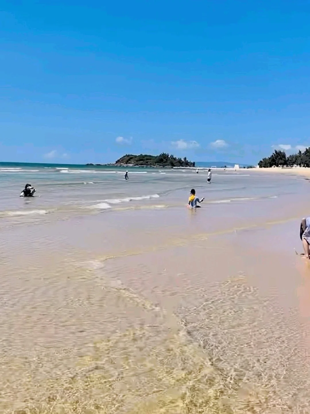 陵水最新状况！11月起酒店集体大跳水…