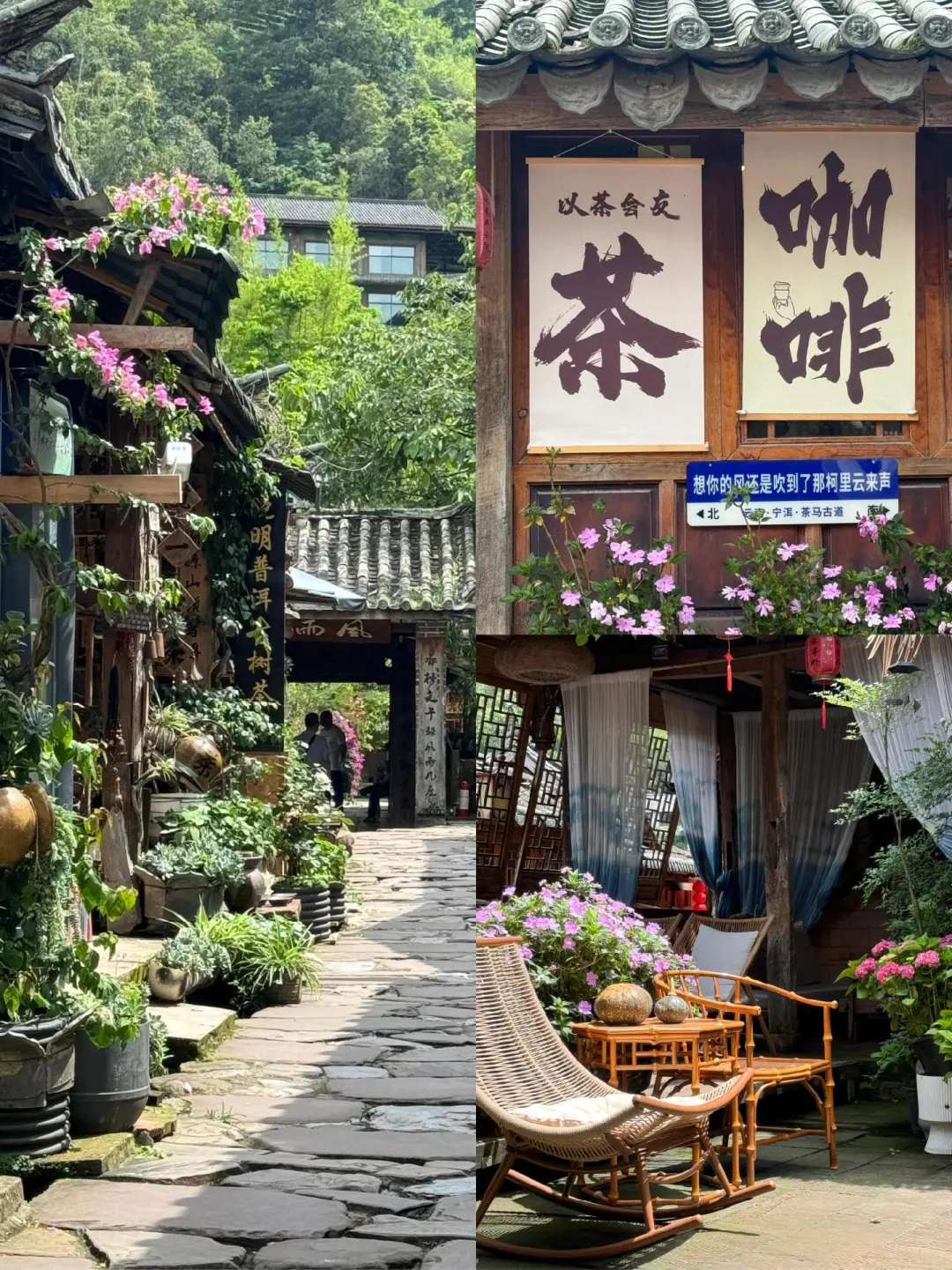 云南旅游📍昆明普洱版纳5天纯玩✨敲省心