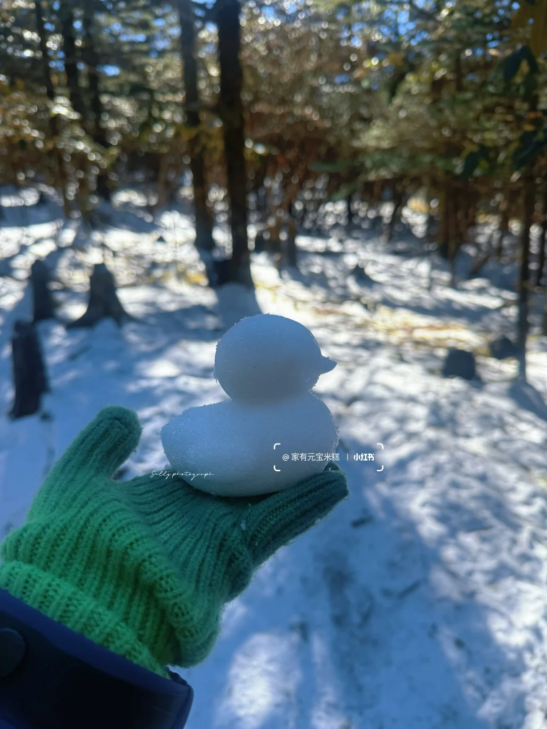 为了这些瞬间 特意去了一趟春城之巅轿子山