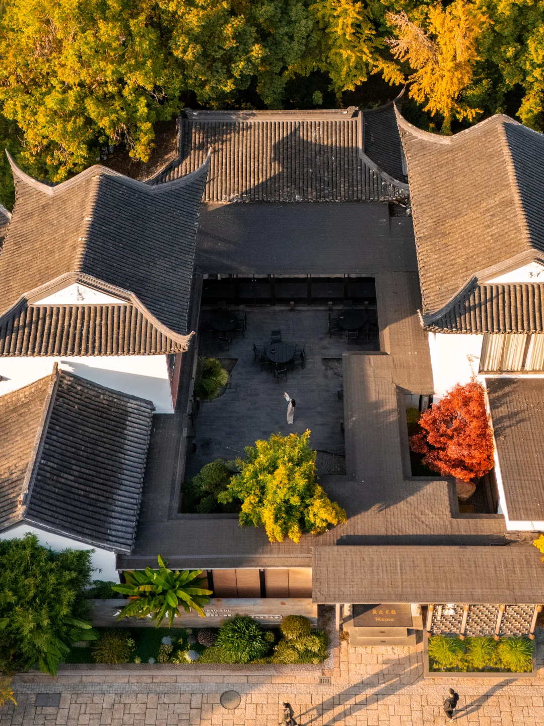 我以为苏州的秋天够美了,直到我来了无锡