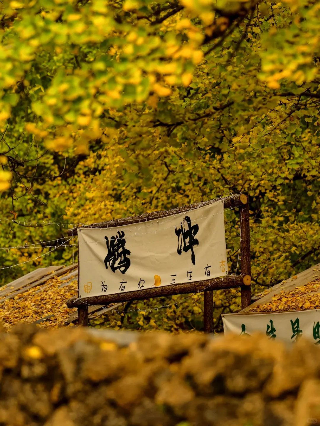 10月去云南旅游❗️腾冲芒市瑞丽怎么玩❓