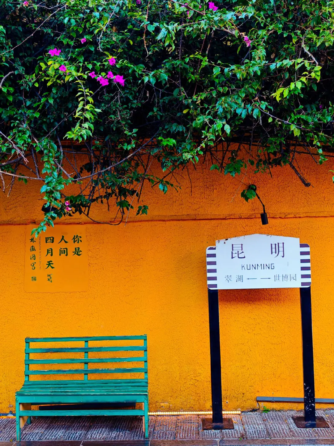 后悔才知道❗云南纯玩团|纯玩度假🔥bi选