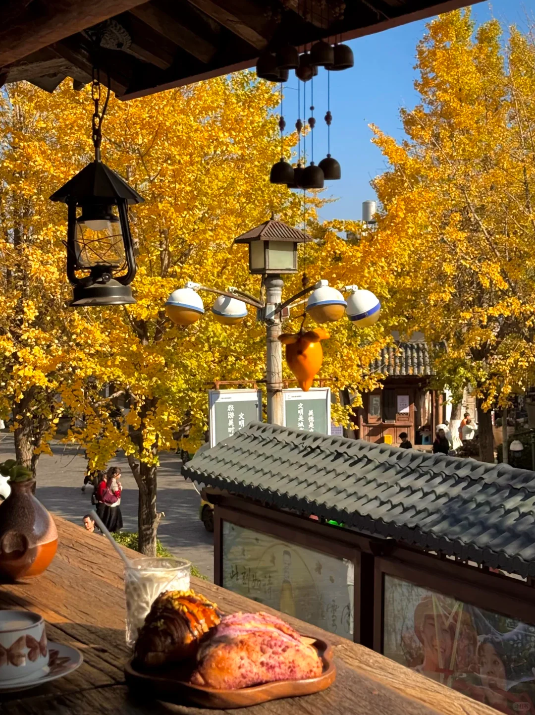 大理秋冬攻略🌅避开人潮玩出诗意🫧