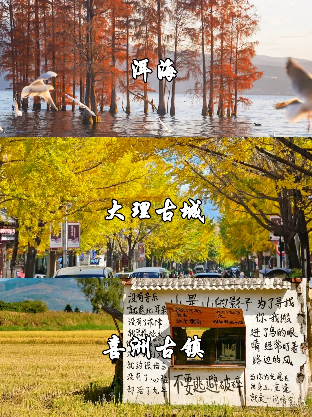 大理秋冬攻略🌅避开人潮玩出诗意🫧