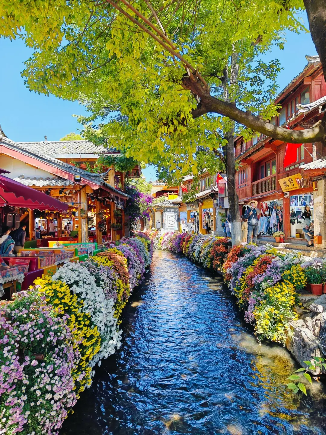 丽江旅游攻略🔥10~12月来丽江旅游必看✅