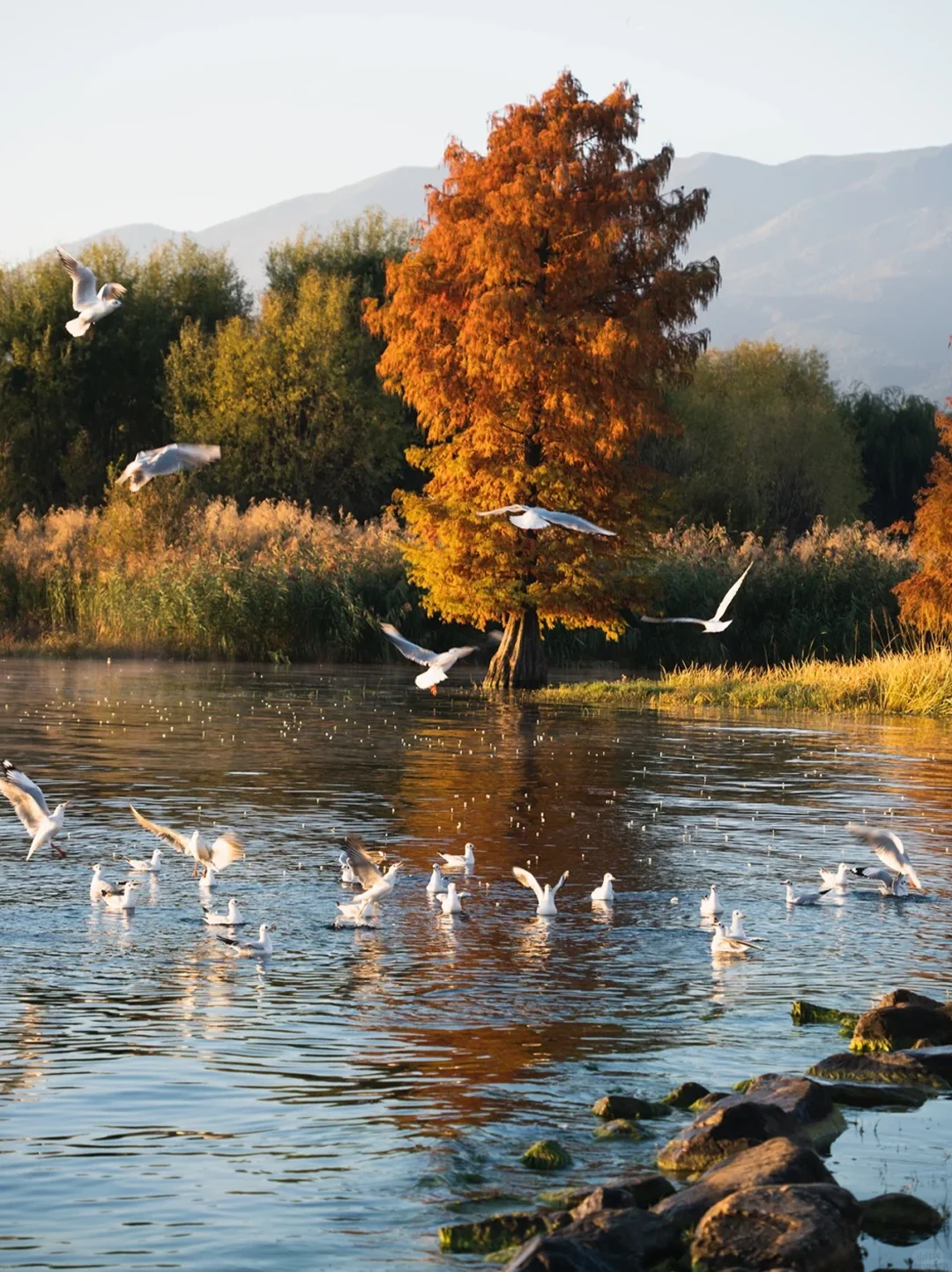 大理秋冬攻略🌅避开人潮玩出诗意🫧