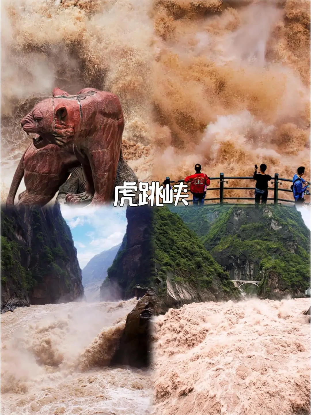 云南纯玩团6天5晚✅人均1000+💰敲详细版